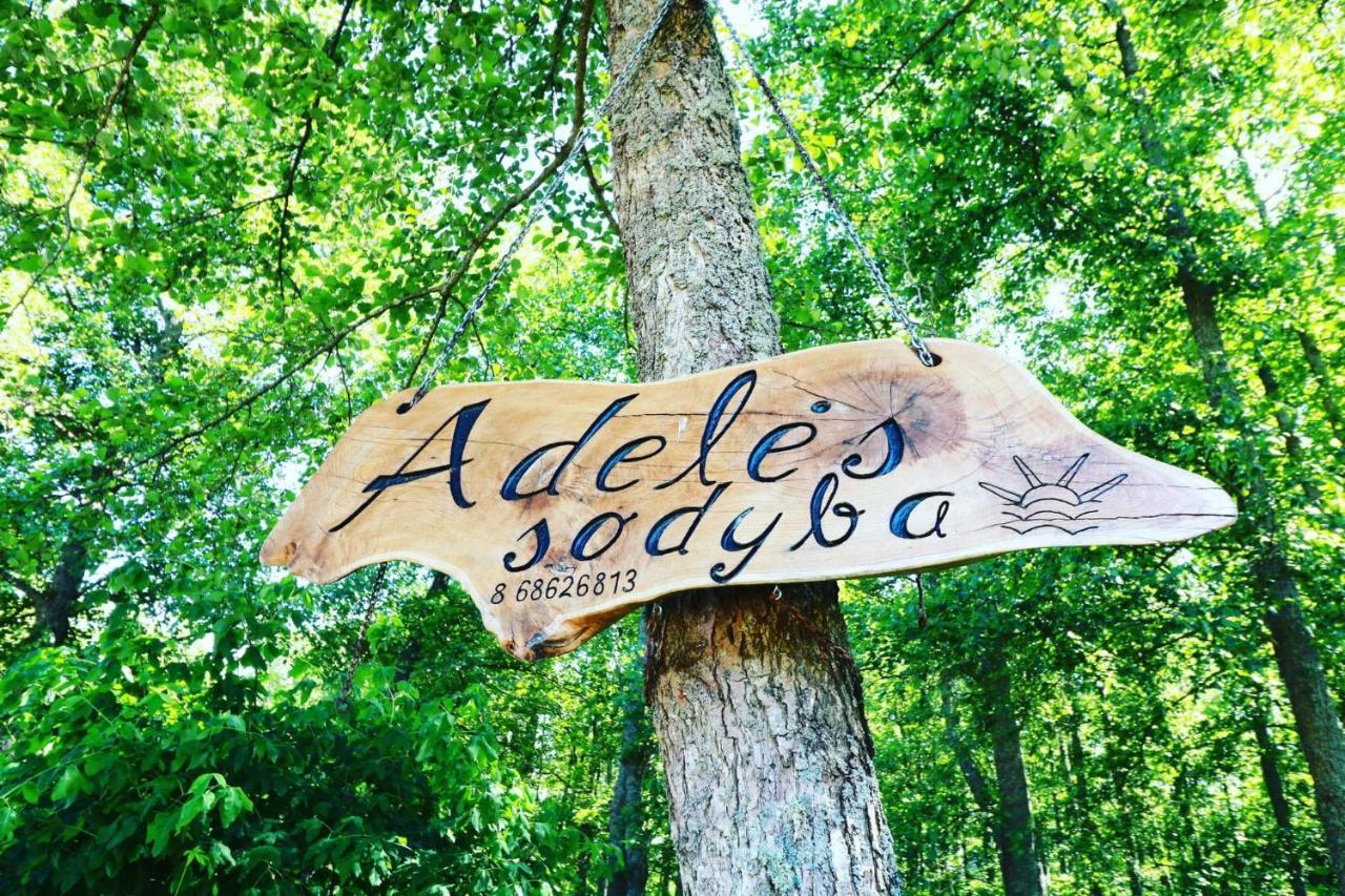 Namelis Nr 1 Adeles Sodyba Sturmai المظهر الخارجي الصورة