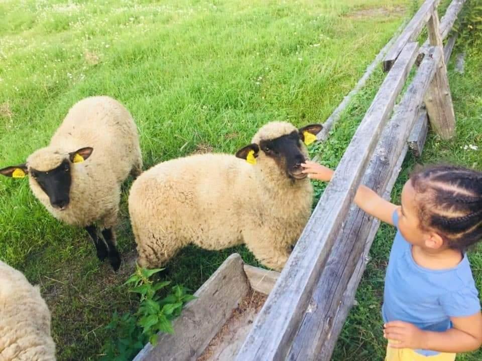 Namelis Nr 1 Adeles Sodyba Sturmai المظهر الخارجي الصورة